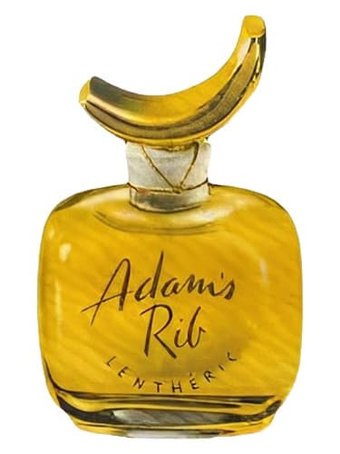 Adam's Rib