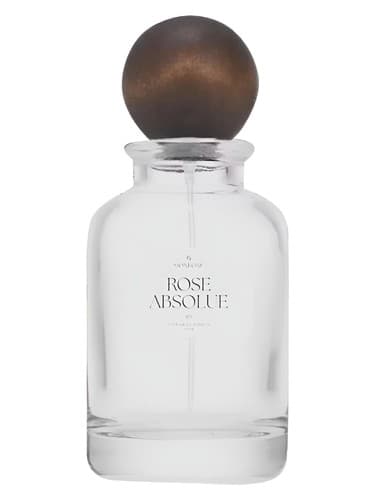 Rose Absolue - رز مطلق