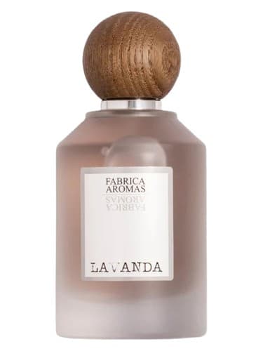 Lavanda - لاواندا