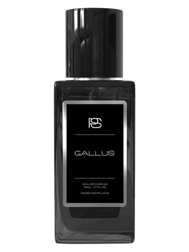 Gallus - گالوس