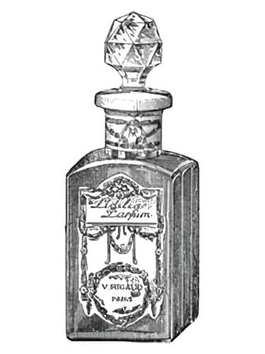 Lidilia - لیدیلیا
