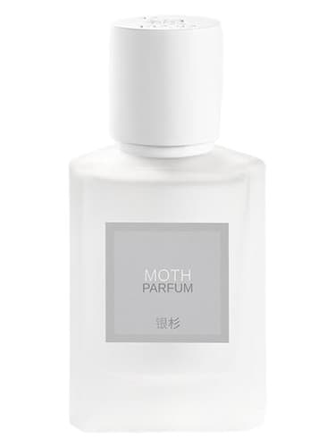 Moth 蛾