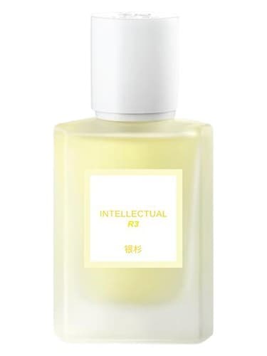 Intellectual 高知