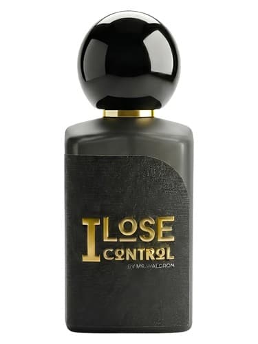 I Lose Control - من کنترل را از دست می دهم
