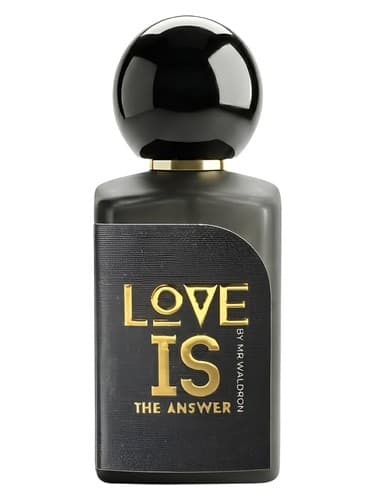 Love Is The Answer - لاو پاسخ است