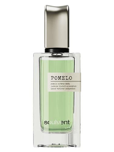 Pomelo - پوملو