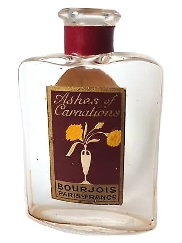 Ashes of Carnations - خاکستر میخک