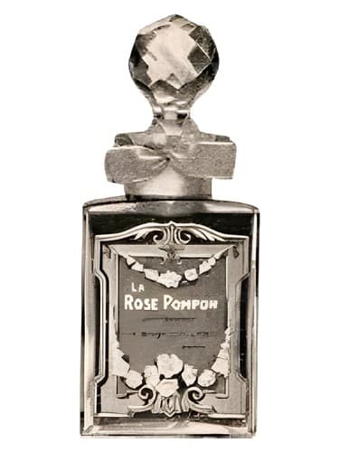 La Rose Pompon