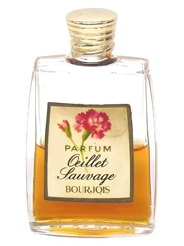 Oeillet Sauvage