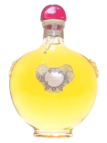 Chrysanthème