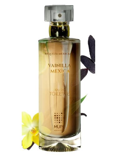 Vainilla Mexica - واینیلا مکزیکا