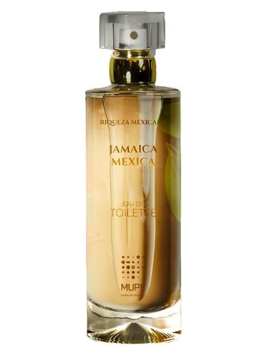 Jamaica Mexica - جامائیکا مکزیک