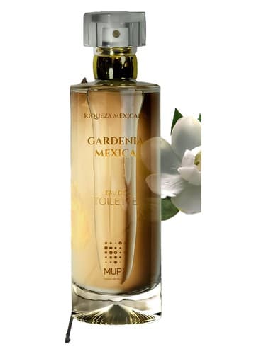 Gardenia Mexica - گاردنیا مکزیکا