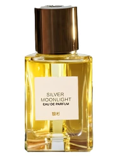 Silver Moonlight 银色月影 - مهتاب سیلور 银色月影