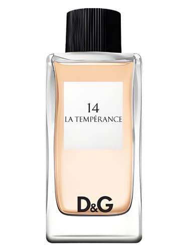 D&G Anthology La Temperance 14 
