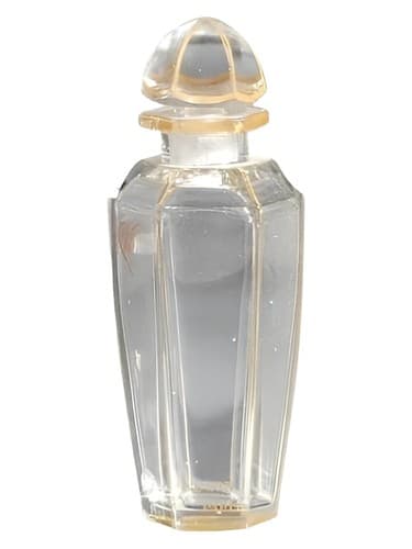 Tibi