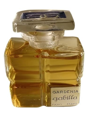 Gardenia - گاردنیا