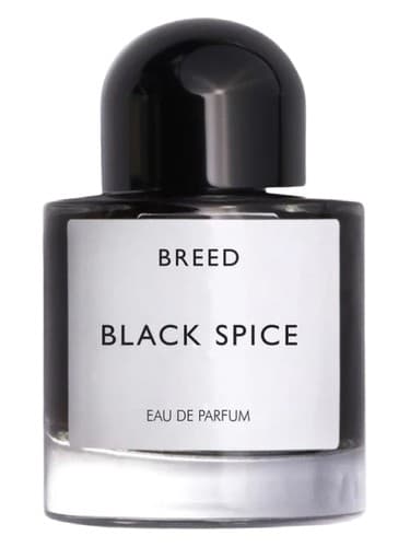 Black Spice - ادویه بلک
