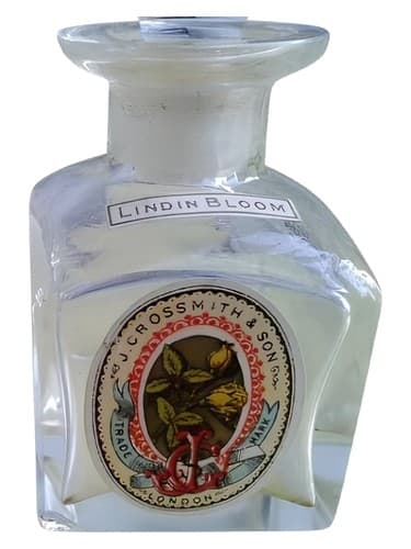 Lindin Bloom