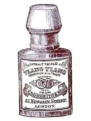 Ylang Ylang