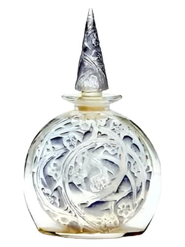Iris Neige