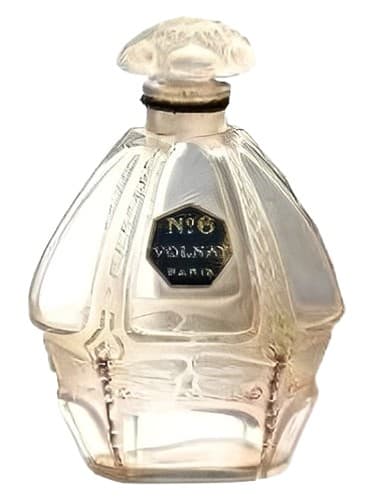 N°6