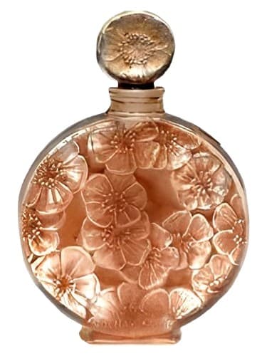 Chypre Ambre