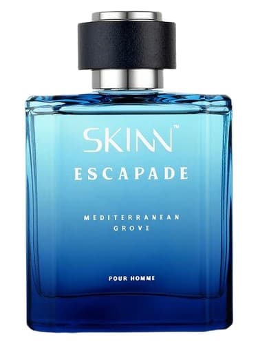Mediterranean Grove - بیشه مدیترانه
