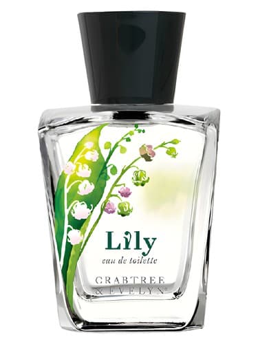Lily - لیلی