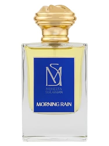 Morning Rain - باران صبحگاهی