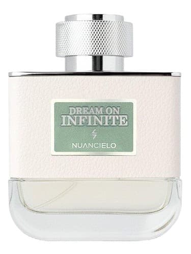 Dream On Infinite - رویای بی نهایت