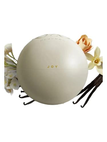 Joy - شادی