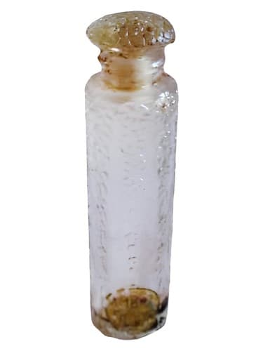 Ambre - آمبره