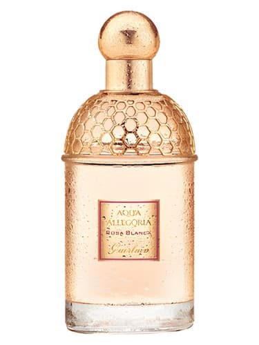 Aqua Allegoria Rosa Blanca