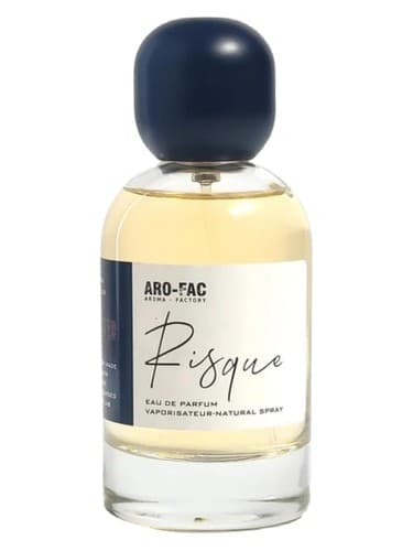 Risque - ریسک