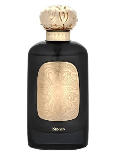 Senses - حواس