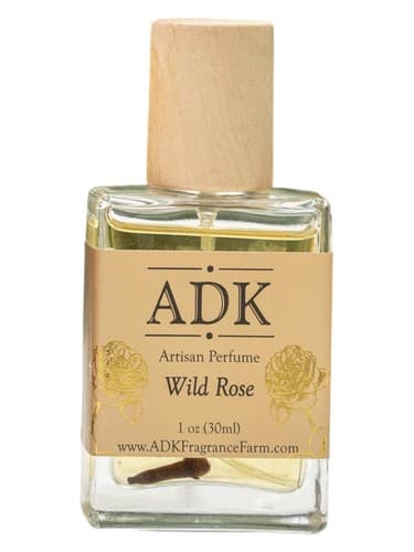 Wild Rose - رز وایلد