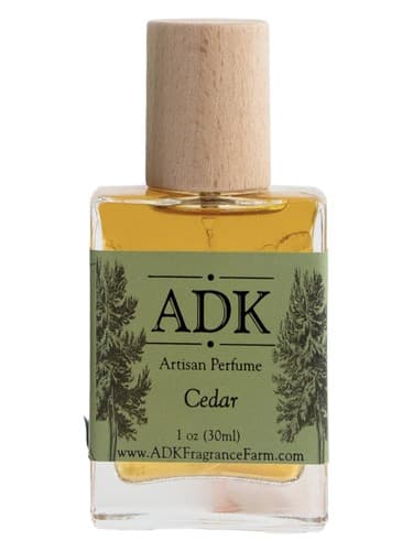 Cedar - سدر