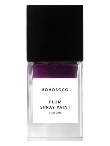 Plum Spray Paint - رنگ اسپری آلو
