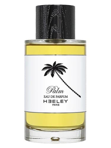 Palm - نخل