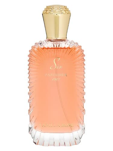 Vanilla Rose - رز وانیلی