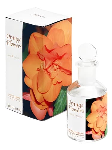 Orange Flowers - گل های اورنج
