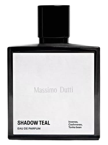 Shadow Teal