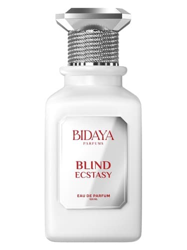 Blind Ecstasy - اکستازی کور