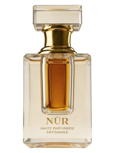 Ambre Mysore - امبر میسور