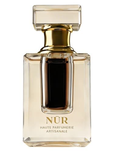Oud Burmi Planifolia - عود برمی پلانیفولیا