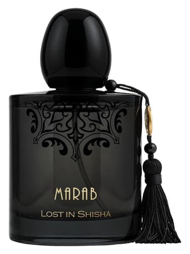 Lost In Shisha - گمشده در قلیان