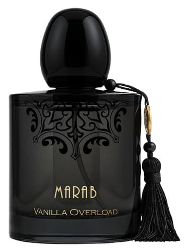 Vanilla Overload - اضافه بار وانیلا