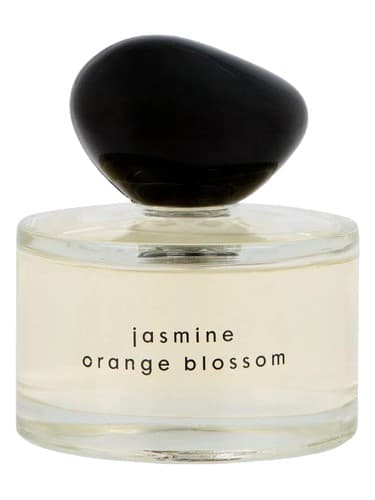 Jasmine Orange Blossom - شکوفه اورنج یاس