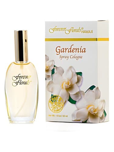 Gardenia - گاردنیا